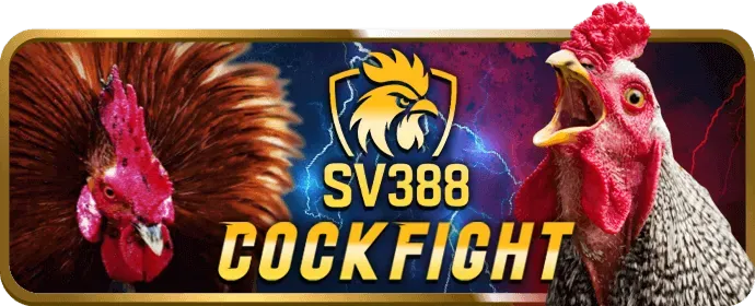 Các tính năng bảo mật của m88keo win